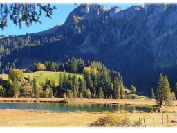 berneroberland